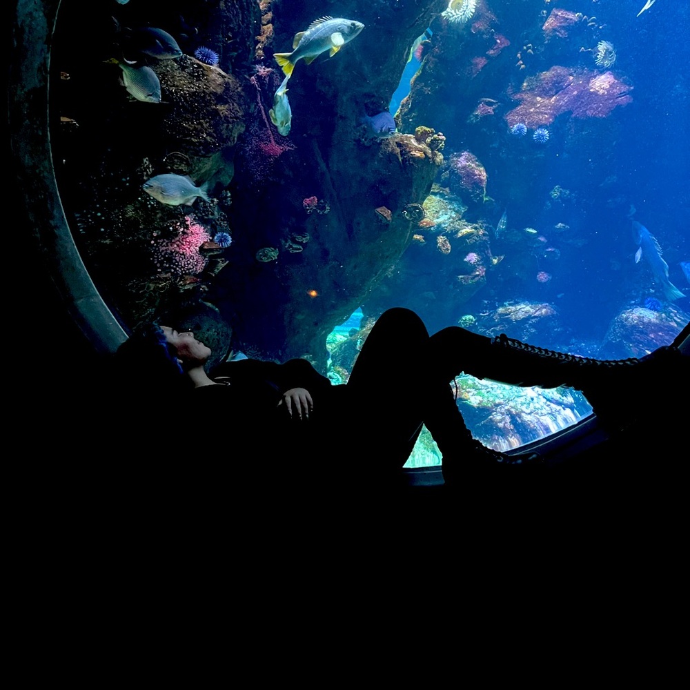 Meet your Posher, Raven